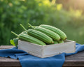 Fresh Bitter Gourd (Forest)