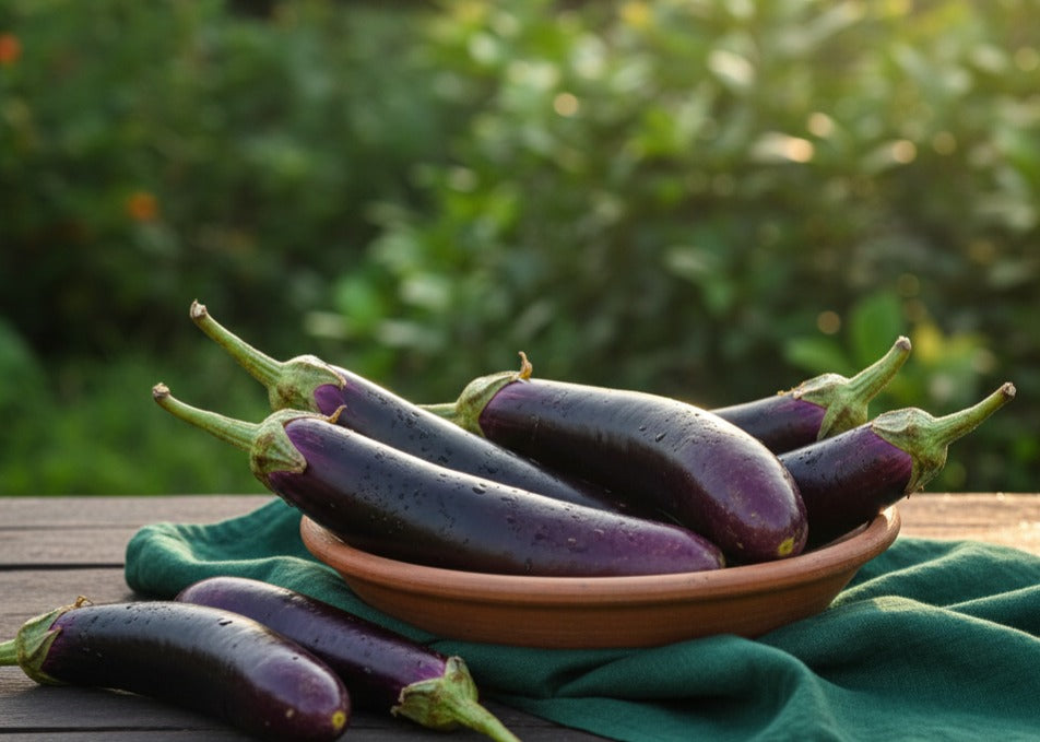 Fresh Brinjal Purple Long ताज़ा बैंगन (बैंगनी लंबा)