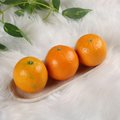 Fresh Nagpur Orange ताज़ा संतरा