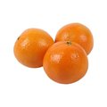 Fresh Nagpur Orange ताज़ा संतरा