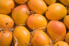 Original Devgad Alphonso Mango